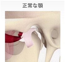 正常な顎